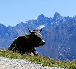 Wandern Ladis