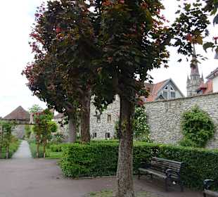 Stadtgarten Radolfzell am Bodensee