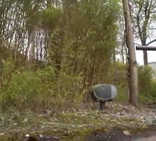 Land der Abenteuer - Dschungel X-pedition