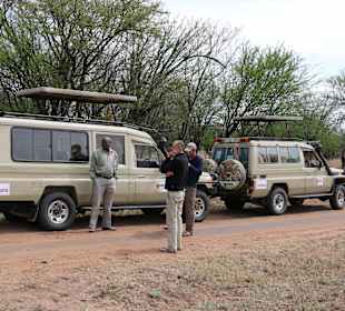 Gosheni safari the best Tanzania Safari Company