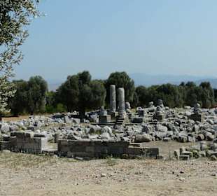 Dyonisos Tempel von Teos