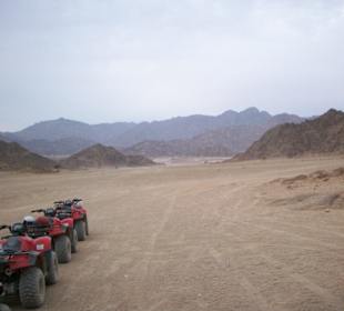 Quad fahren