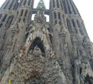 Собор святого семейства