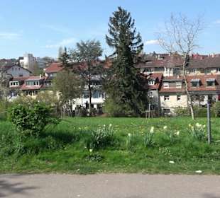 Belvedere im Rosengarten Villa Berg