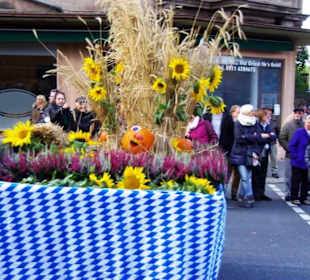 Knoblauchsland Fürth