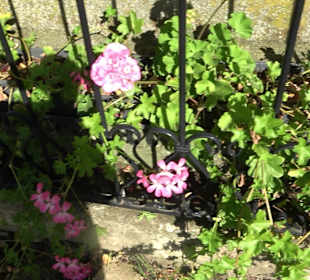 Friedhof Eutingen im Gäu