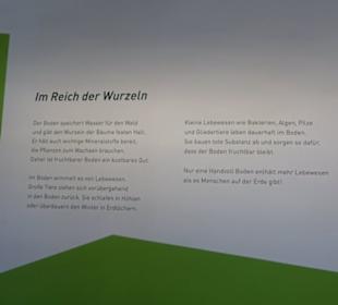 Museum Natur und Mensch
