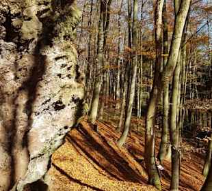 Tolle Herbstlandschaft