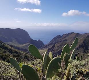 Schlucht von Masca auf Teneriffa