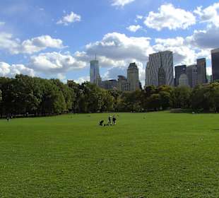 Central Park Sheap Meadow