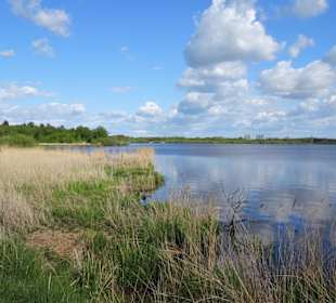Impressionen vom Bederkesaer See