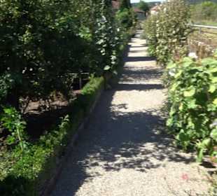 Bastionsgarten