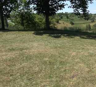 Kochhartgraben und Ammertalhänge (Reusten)