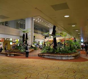 Flughafen Singapur Changi (SIN)