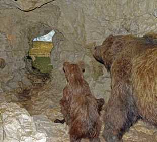 Bärenhöhle / Andere Beleuchtung
