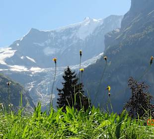 Kurz die Strasse rauf, dann dieser Blick