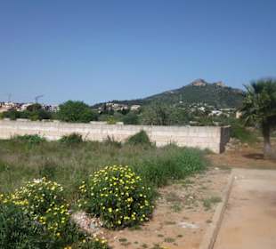 Nähere Umgebung des Hotel Hipotel Said