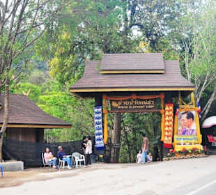 Eingang ins Elefantencamp