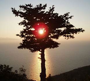 Sonnenuntergang an der Westküste