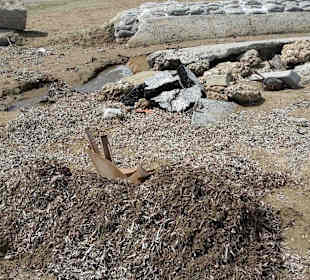 Dieser haufen liegt nicht erst seit einem Tag da.