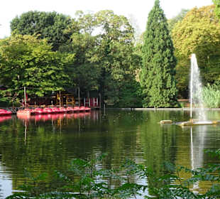 Am Weiher im Volksgarten Köln