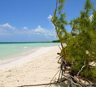 Pillar beach