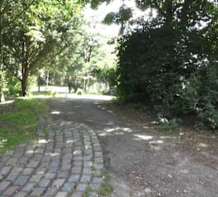 Alter Elbepark