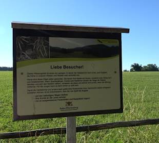 Burgruine Andeck Talheim