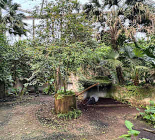 Gondwanaland