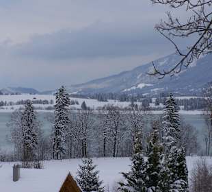 Blick auf den Forggensee