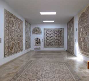 Man geht sogar auf ihnen!