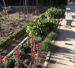 Real Jardín Botánico de Madrid