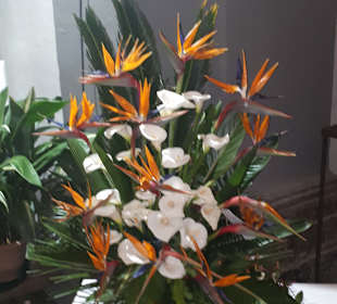 Stadtrundgang Castell-Platja d’Aro