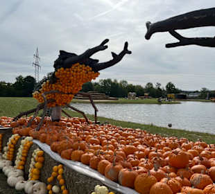 Krewelshof  Kürbisschau 2022 (Wundersame Waldwesen