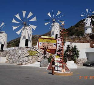 Museum Homosapiens sapiens