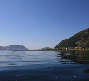 Fahrt um die Vogelinsel Runde