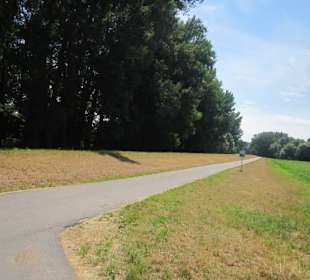 Am Rhein in Germersheim