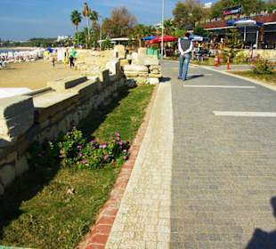 Inspirationen an d.Strandprom.entlang Nov.2010