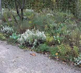 Garten Großbritanien