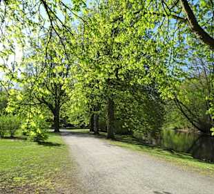 Rundgang durch den Bürgerpark Braunschweig