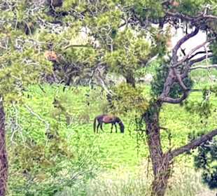 Wandern Side - Titreyengöl