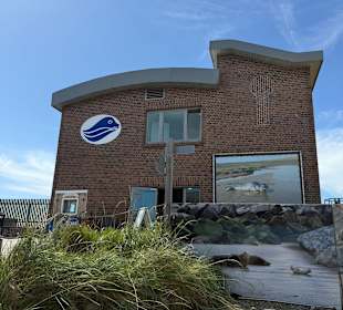 Friedrichskoog-Seehundstation