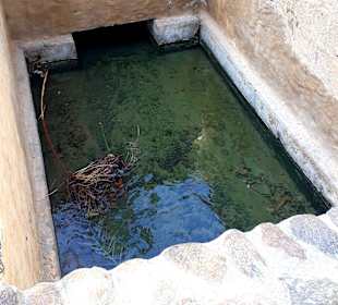 Al Ain Oase