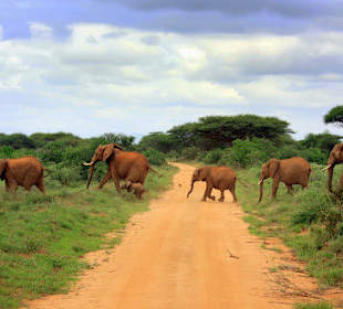 Tsavo East 