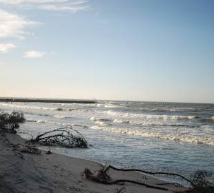 Strand Rowy