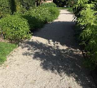 Botanischer Garten München