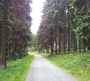 Großer Feldberg