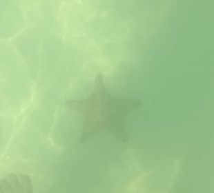 Danke für diesen unvergesslichen Tag auf Saona 