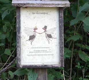Ameisenlehrpfad Holzelfingen