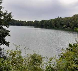 Rensinger See in Kellinghusen